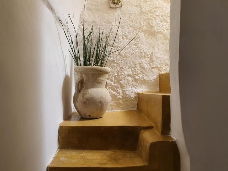 Casa Vacanze Marangon Parabita Dış mekan fotoğraf