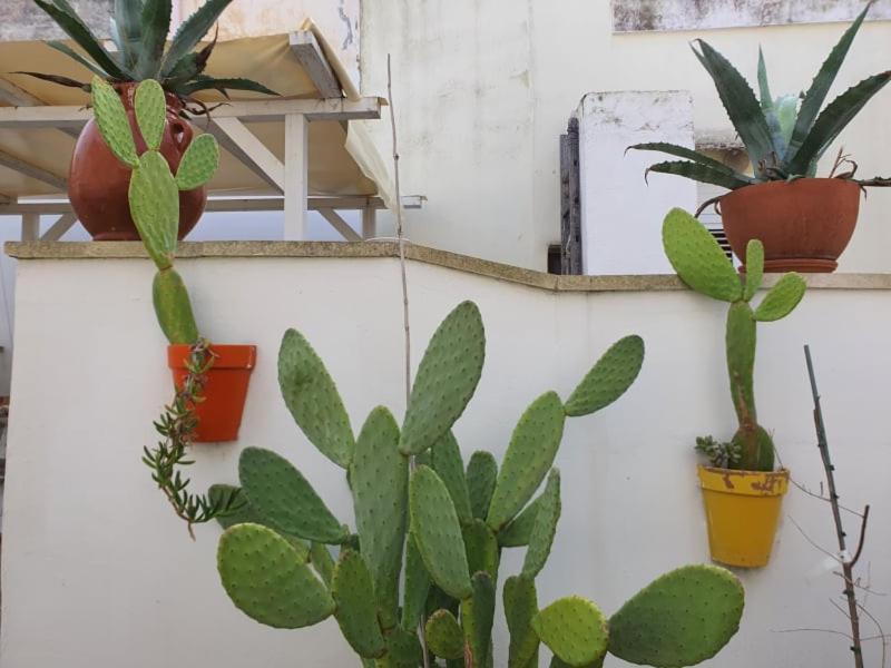 Casa Vacanze Marangon Parabita Dış mekan fotoğraf